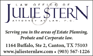 Julie Stern Ballot Ad