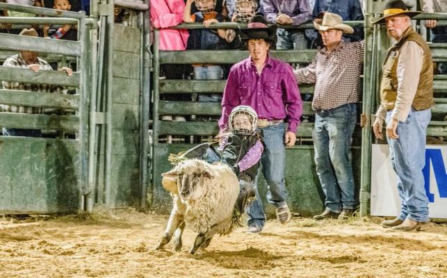 Numerous events highlight 67th Annual VZC Fair and Rodeo