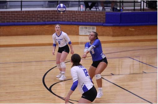 The Wills Point Tigers swept Terrell in a home volleyball match Sept. 5. Wills Point improved their season record to 15-9 overall as they prepared to open district play Sept. 8 against Community. Photo by Regina DeDominicis/WPISD Yearbook staff