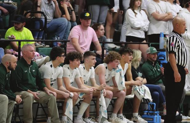 The Canton Eagles saw their overall season record improve to 29-9 with an Area round win over Chapel Hill last week. Photo by Lianna Reid