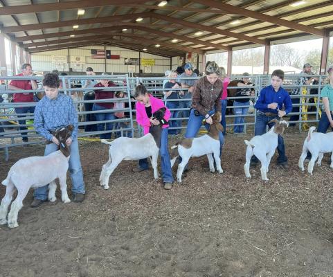 7th Annual Rotary Spring Jackpot Show