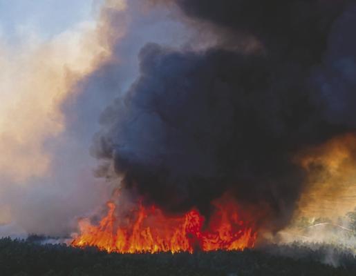 A grass fire seen for miles around Cedar Creek Lake Aug. 13. Payne Springs, Eustace, Gun Barrel City,Mabank, Long Cove, Trinidad, District 8, North 19, Henderson County Precinct 2 (skid and backhoe) Texas A&amp;M Forest Service Fire trucks, UT Health, assisted in extinguishing the fire on Peach Tree Road. Photo by Zack Hill