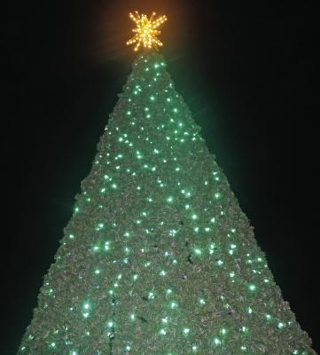 Despite a two-day delay due to inclement weather, Christmas in Van was celebrated Dec. 9 with a number of activities including the lighting of the City of Van Christmas tree downtown. The City of Van Christmas Parade was held prior to the Christmas tree lighting. For more photos and information, see Page 2A. Photo by David Barber
