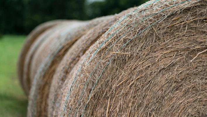 Hay bales could be in short supply as much of the state has reported poor forage and hay production conditions as the season. Photo by Laura McKenzie