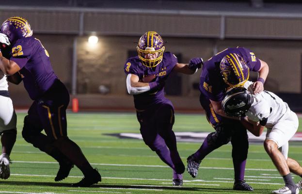 Bulldogs advance to regional semifinals