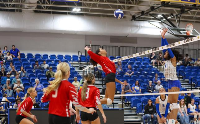 Lady Vandals win two district matches