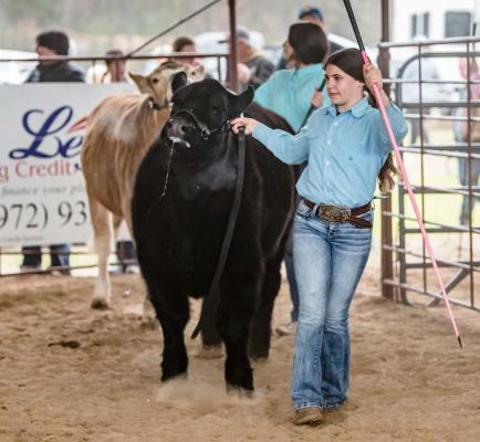 Canton Rotary Club Livestock Show