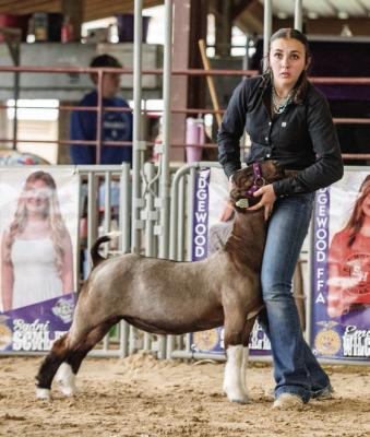VZC Fair and Rodeo concludes