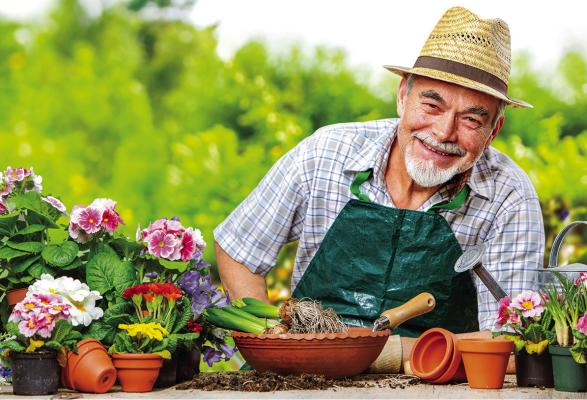 Summer fun for active seniors
