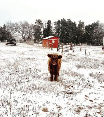 January 2024: While the first winter storm of 2024 to hit Van Zandt County was an inconvenience to a number of people, it appears that the area escaped any major power outages or traffic issues during the extreme cold snap Jan. 15, 16. Courtesy photo