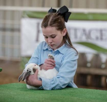 Youth Breeding Shows