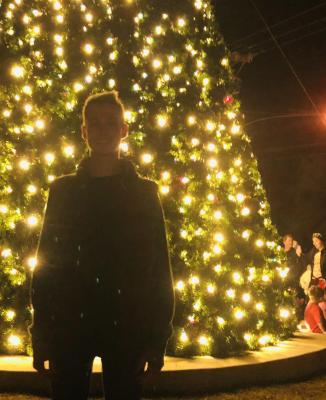 Oh Christmas Tree …