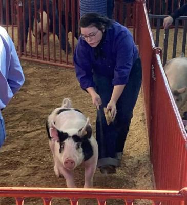 County 4-H and FFA Bios
