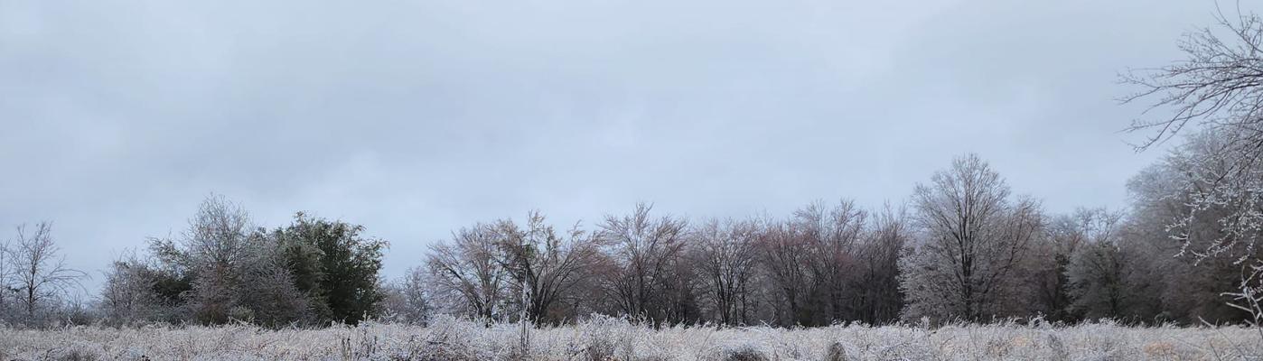 Van Zandt County residents received their fill of winter weather over the past week as an arctic system caused much of the area to be blanketed in ice and sleet. The winter weather resulted in business and school closures due to dangerous driving conditions and outages, and also served as a factor in multiple accidents. Courtesy photos
